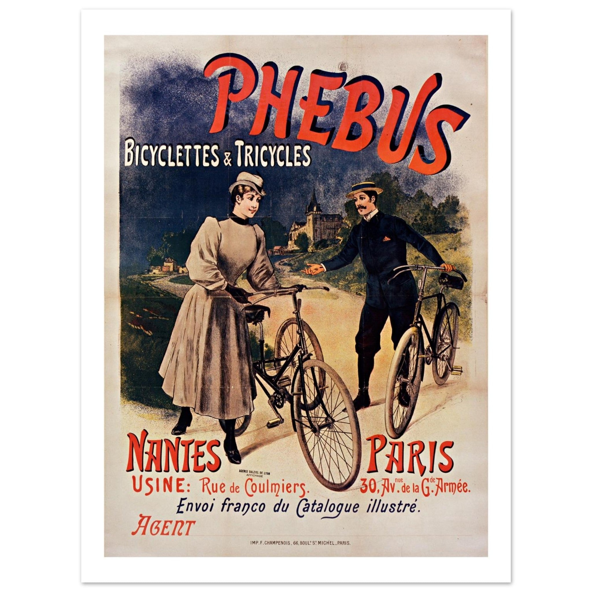 Vintage Phebus Bicycles and Tricycles Poster - Transit Art