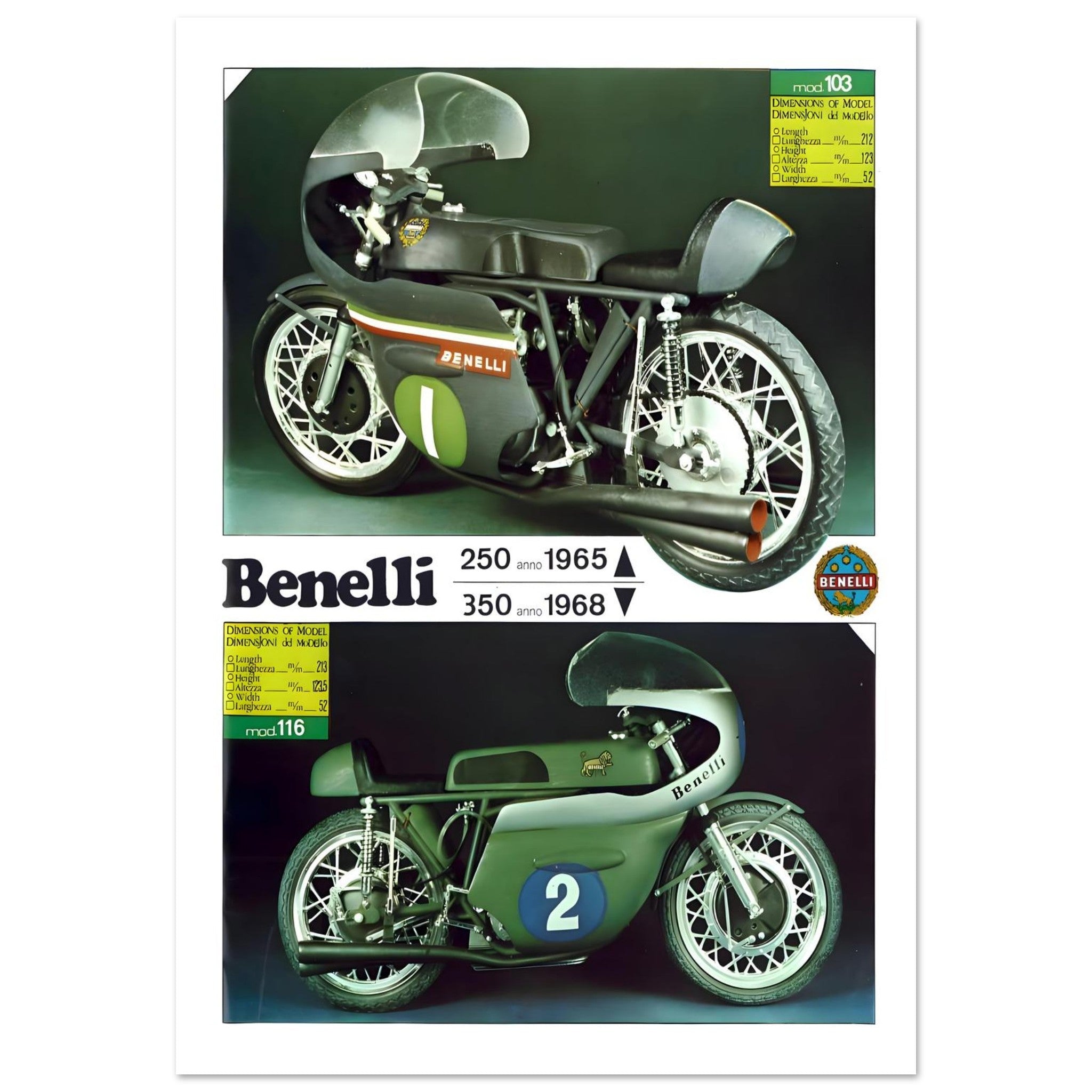 Retro Daytona Classic Wall Of Death - Transit Art