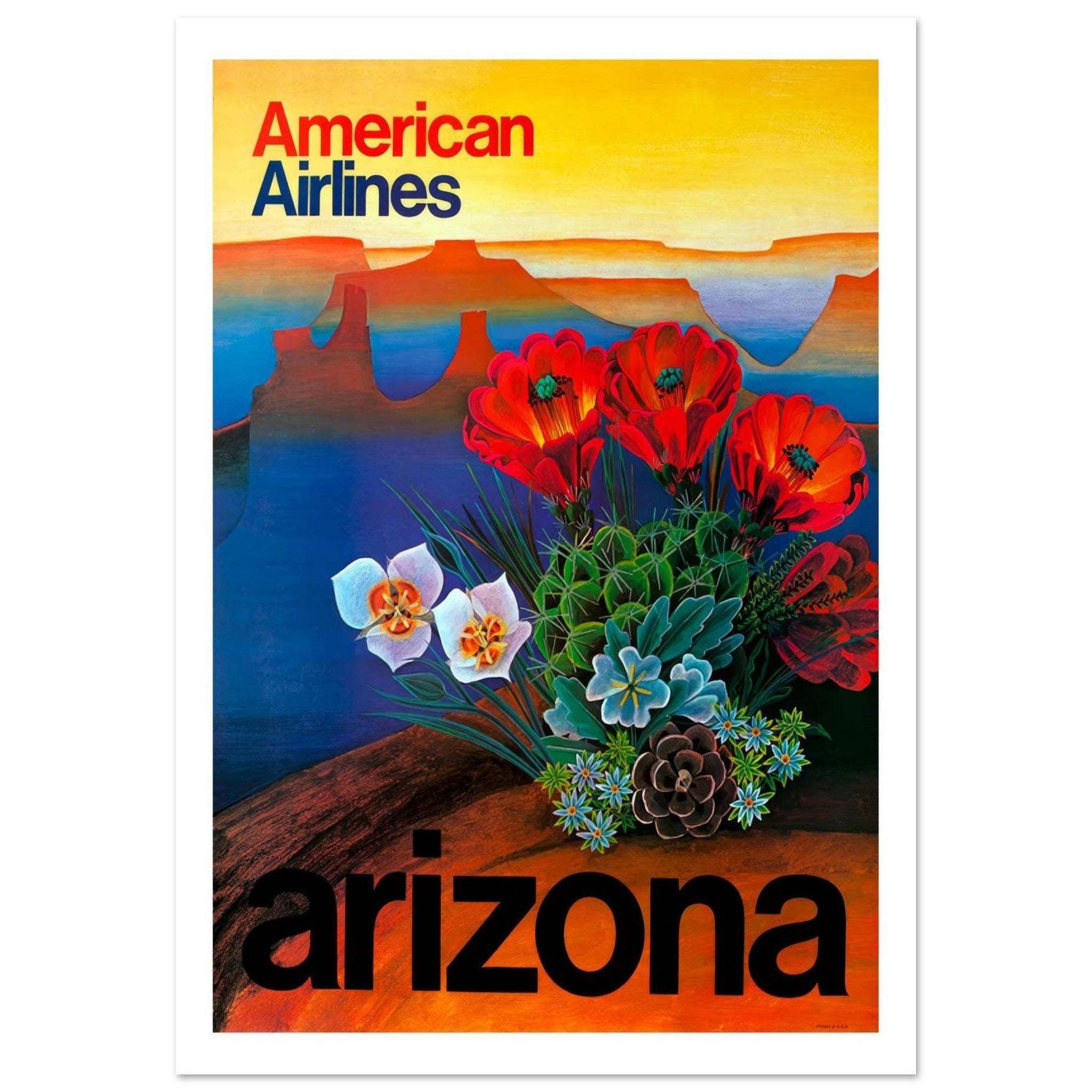 Vibrant American Airlines Poster Showcasing Arizona's Desert Beauty - Transit Art