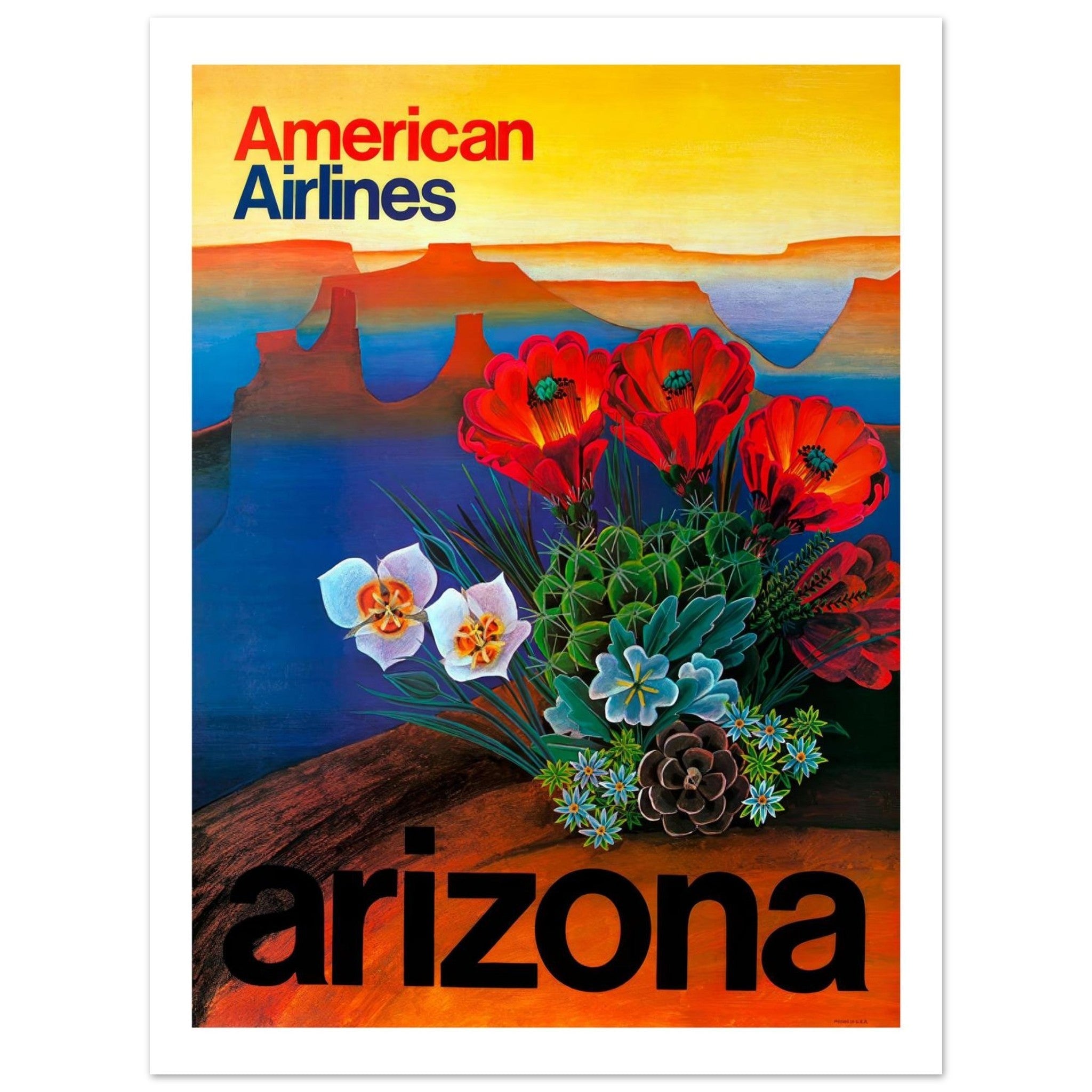 Vibrant American Airlines Poster Showcasing Arizona's Desert Beauty - Transit Art
